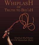 The Whiplash Of Truth To BidAh